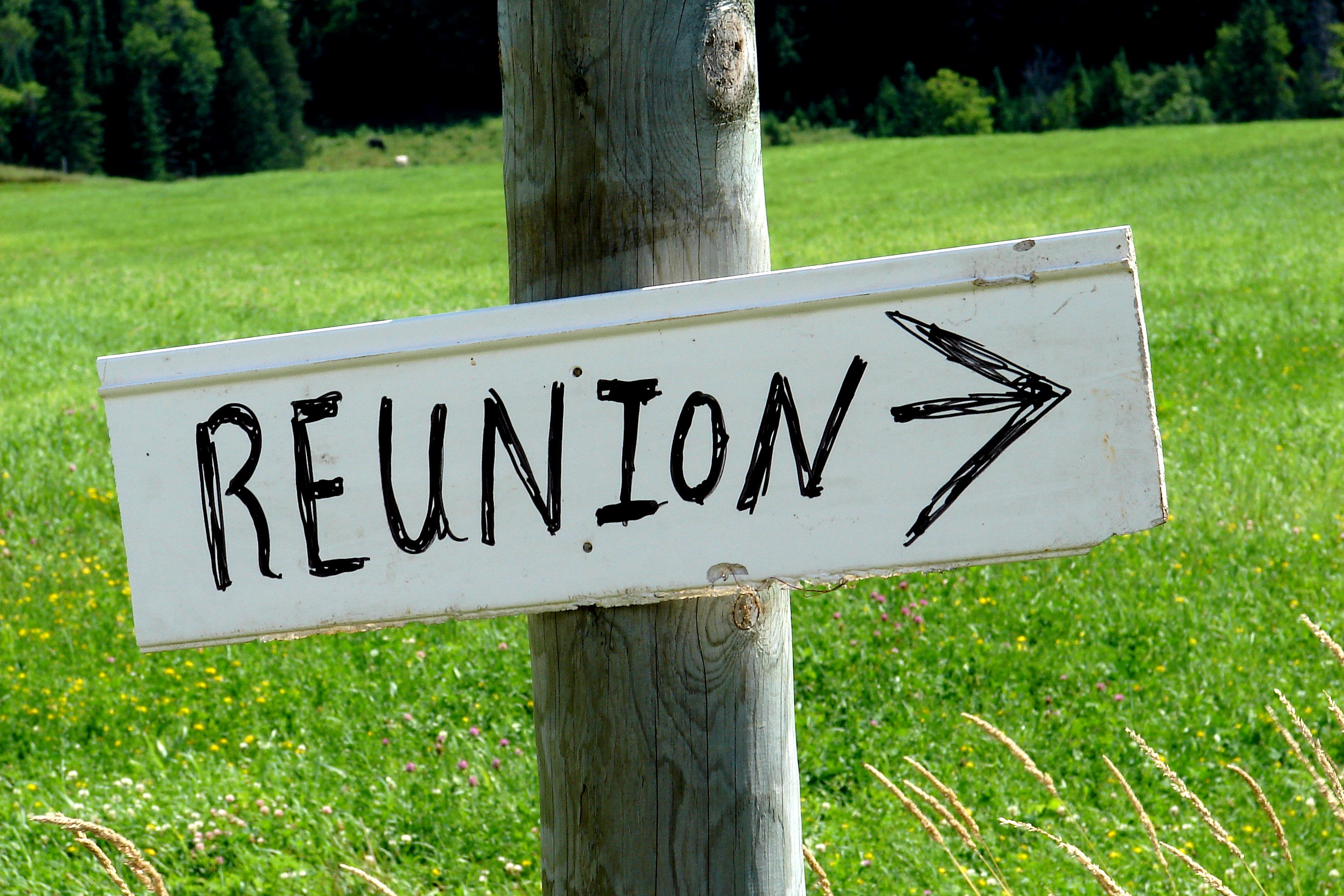 Reunion party